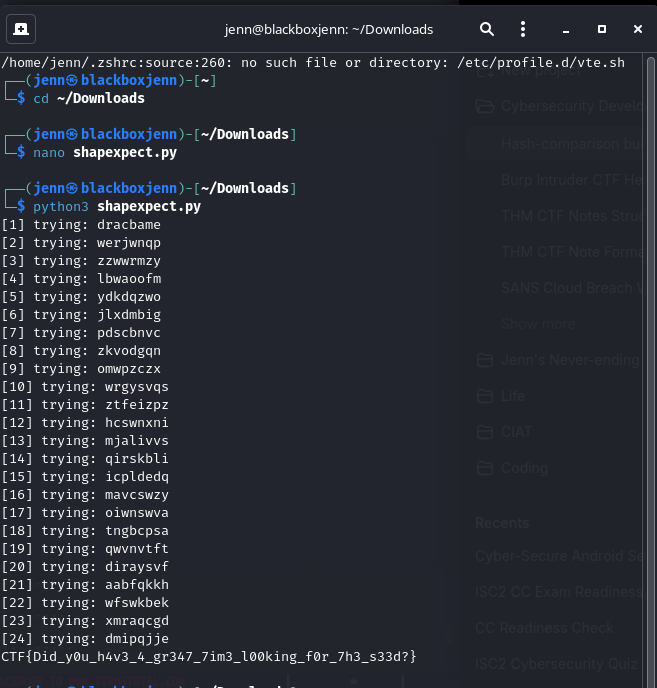 shapexpect.py running against the live challenge host